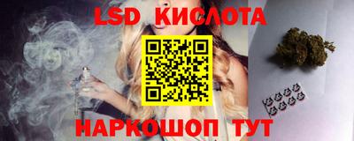 дмт Будённовск