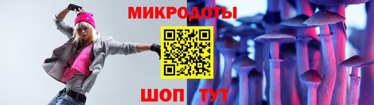 Псилоцибиновые грибы Psilocybe Лобня